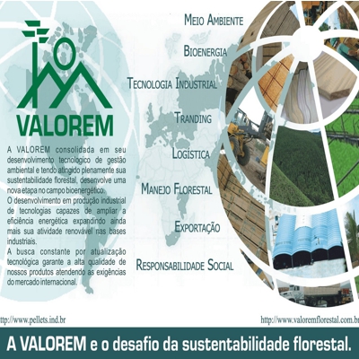 2007 VALOREM FLORESTAL - Flyer Sustentabilidade 2007 VALOREM FLORESTAL - Flyer Sustentabilidade